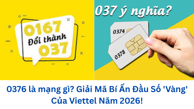 0376-la-mang-gi