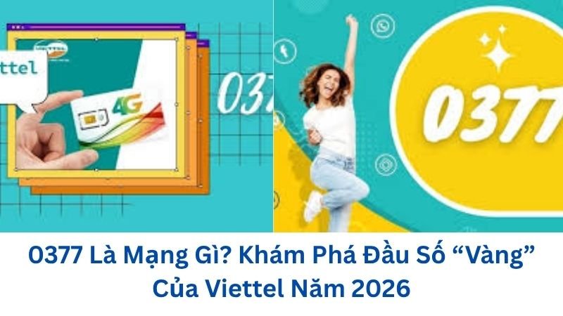 0377-la-mang-gi
