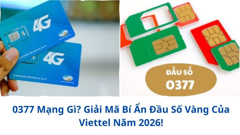 0377-mang-gi