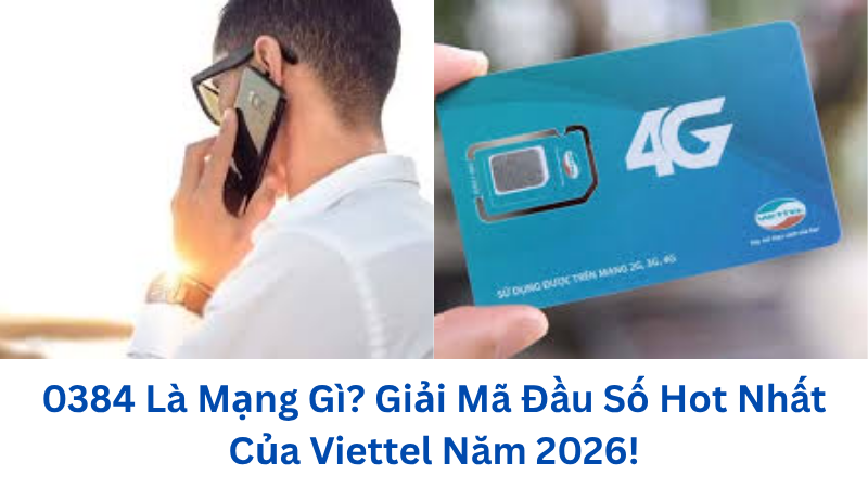 0384-la-mang-gi (1)
