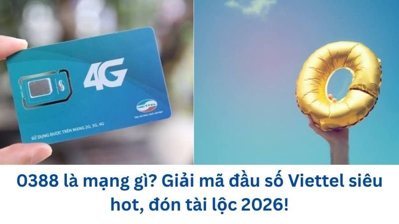 0388-la-mang-gi