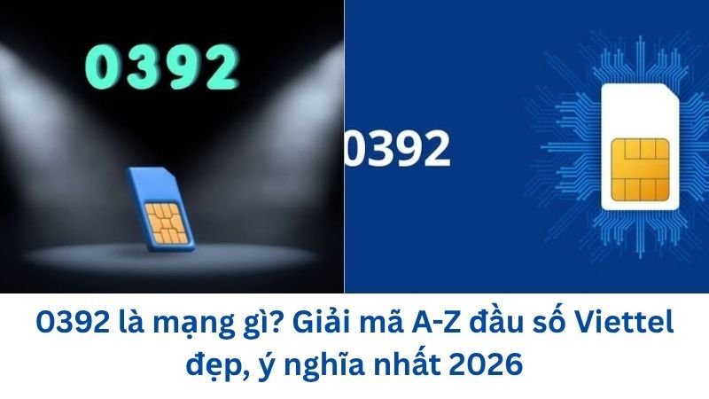 0392-la-mang-gi
