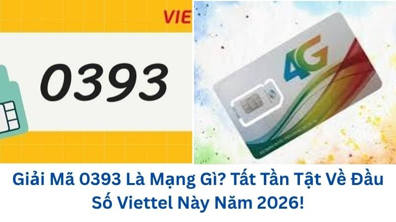 0393-la-mang-gi