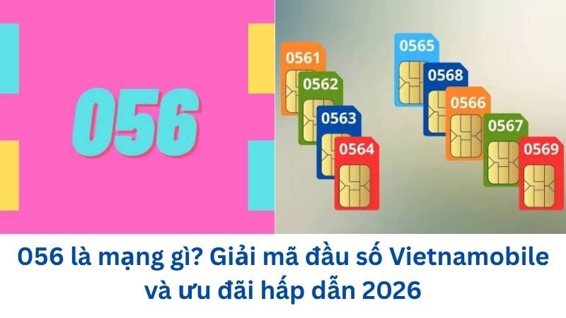 056-la-mang-gi