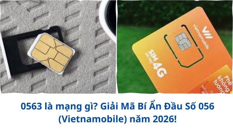 0563-la-mang-gi