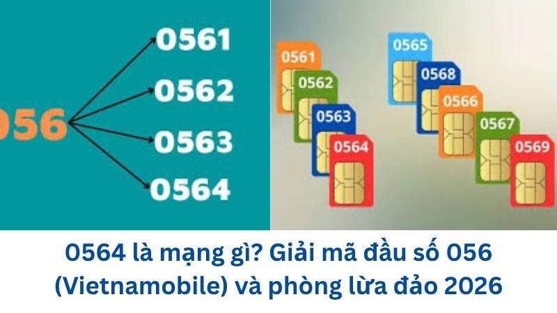 0564-la-mang-gi