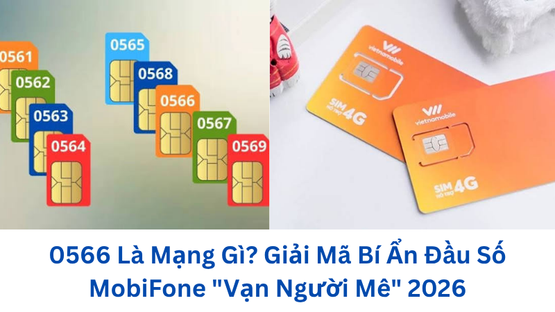 0566-la-mang-gi