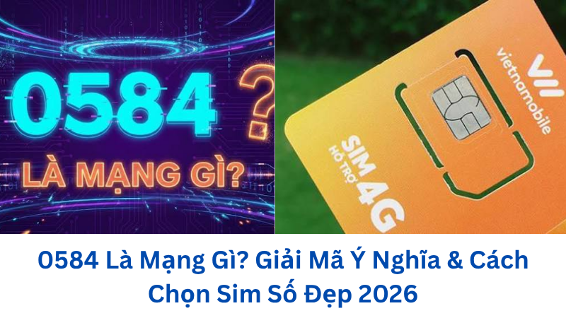 0584-la-mang-gi