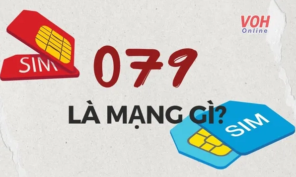 0797-la-mang-gi-giai-ma-suc-hut-cua-dau-so-vang-tu-mobifone-_925