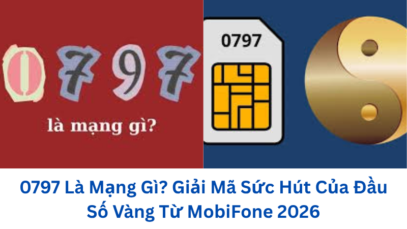 0797-la-mang-gi