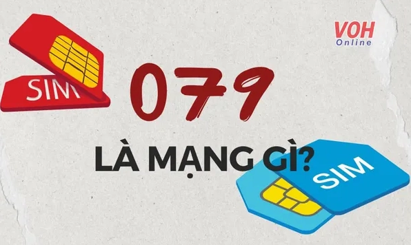 0797-mang-gi-kham-pha-y-nghia-so-dep-cach-chon-sim-chuan-nha_642