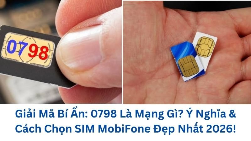 0798-la-mang-gi