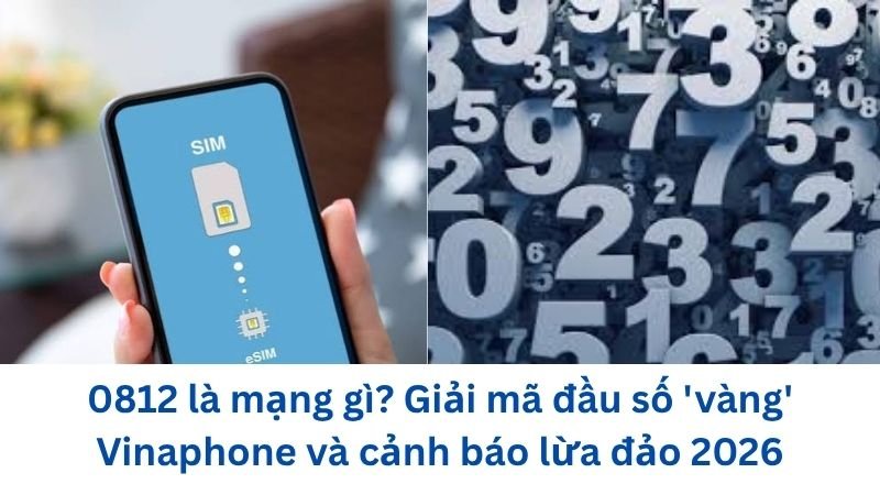 0812-la-mang-gi