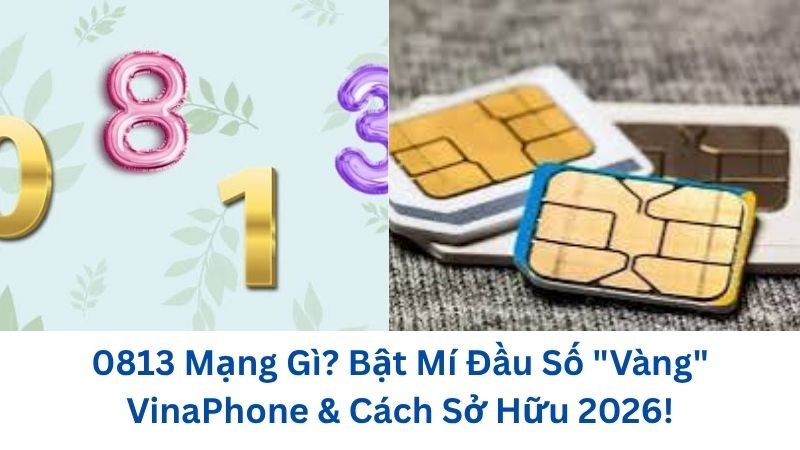 0813-mang-gi