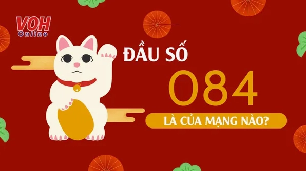 084-la-mang-gi-kham-pha-y-nghia-loi-ich-vuot-troi-cua-dau-so_682