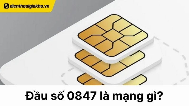 0847-la-mang-gi-giai-ma-dau-so-vinaphone-va-y-nghia-phong-th_203