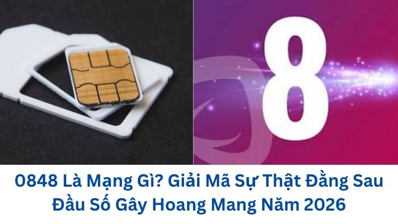 0848-la-mang-gi
