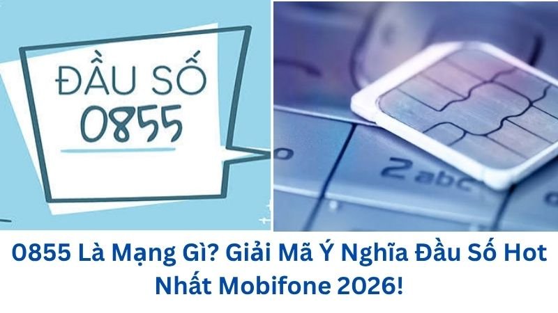0855-la-mang-gi