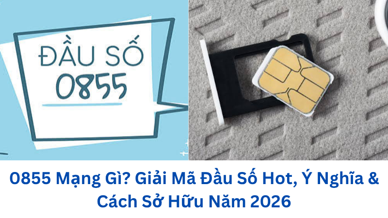 0855-mang-gi