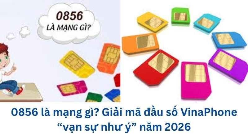 0856-la-mang-gi