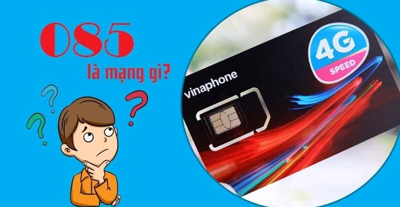 0859-la-mang-gi-kham-pha-y-nghia-phong-thuy-va-gia-tri-dau-s_686