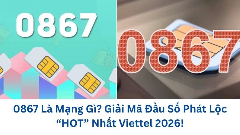 0867-la-mang-gi