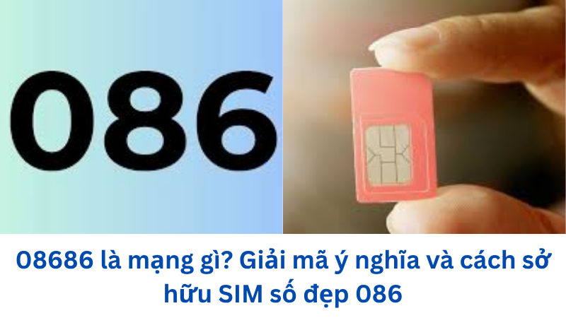 08686-la-mang-gi