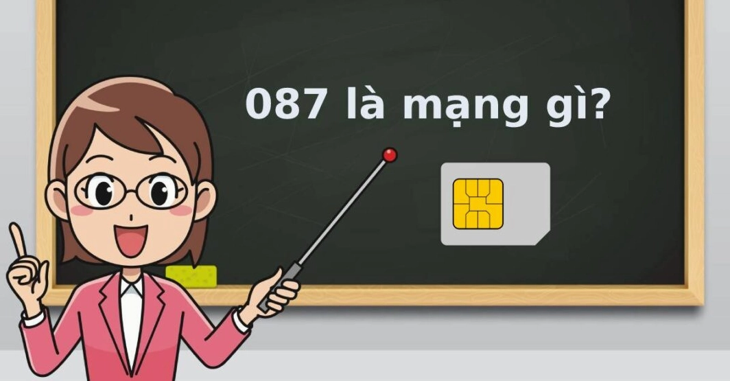 087 là mạng gì