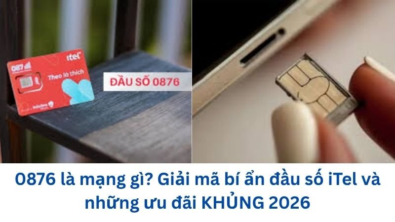 0876-la-mang-gi