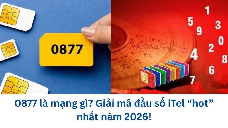 0877-la-mang-gi