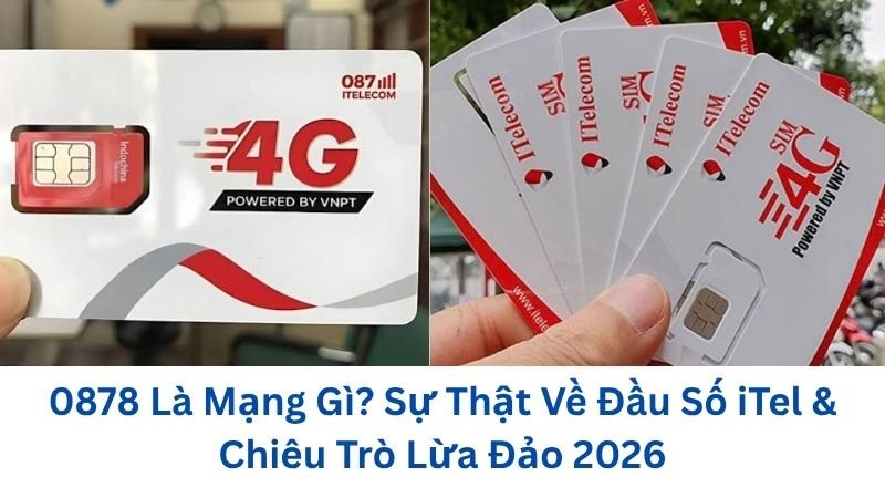 0878-la-mang-gi