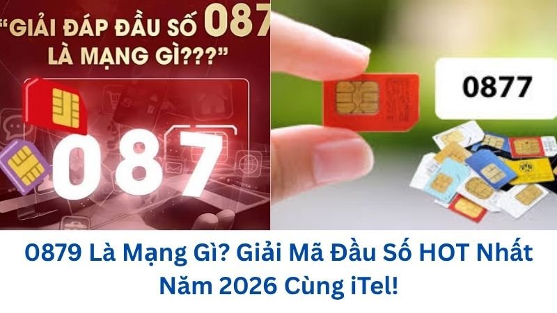 0879-la-mang-gi