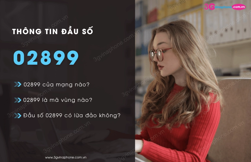 08899-la-mang-gi-kham-pha-dau-so-vang-cua-vinaphone-2026_107