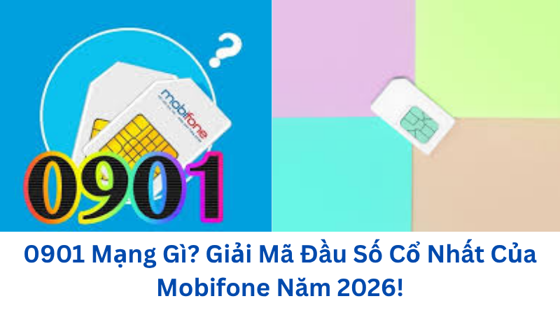 0901-mang-gi