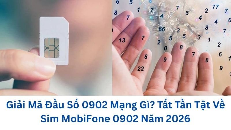 0902-mang-gi