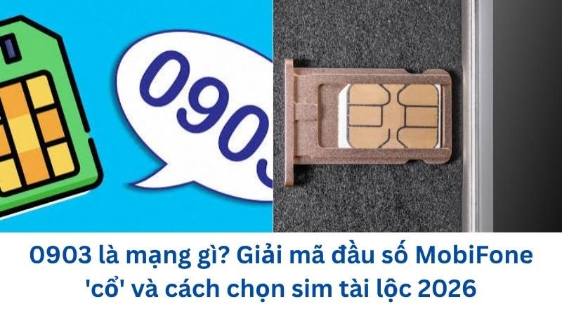 0903-la-mang-gi