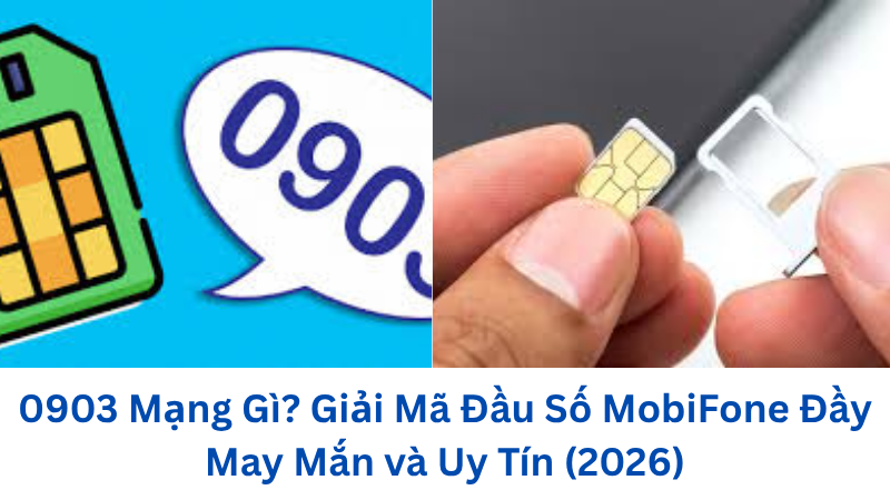 0903-mang-gi