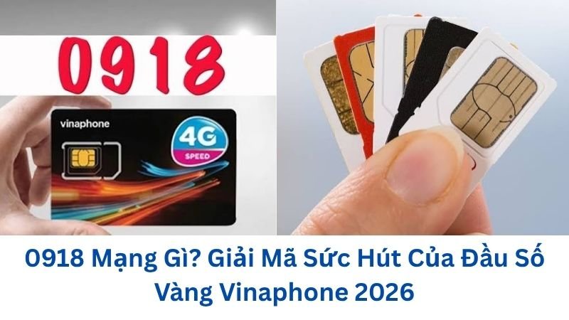 0918-mang-gi