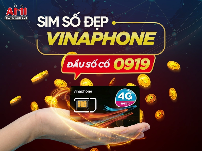 0919-la-mang-gi-giai-ma-dau-so-vinaphone-de-nho-va-y-nghia-s_452