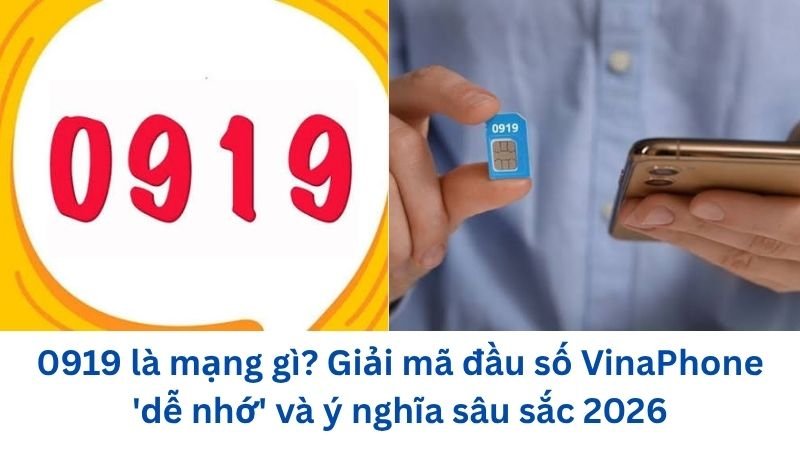 0919-la-mang-gi