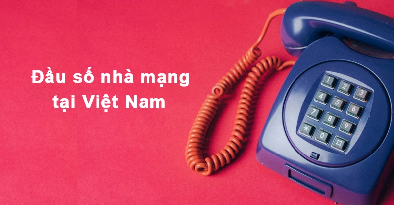 0923-la-mang-gi-giai-ma-dau-so-doc-dao-va-y-nghia-trong-nam-_656