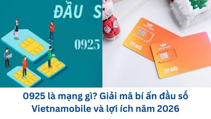 0925-la-mang-gi
