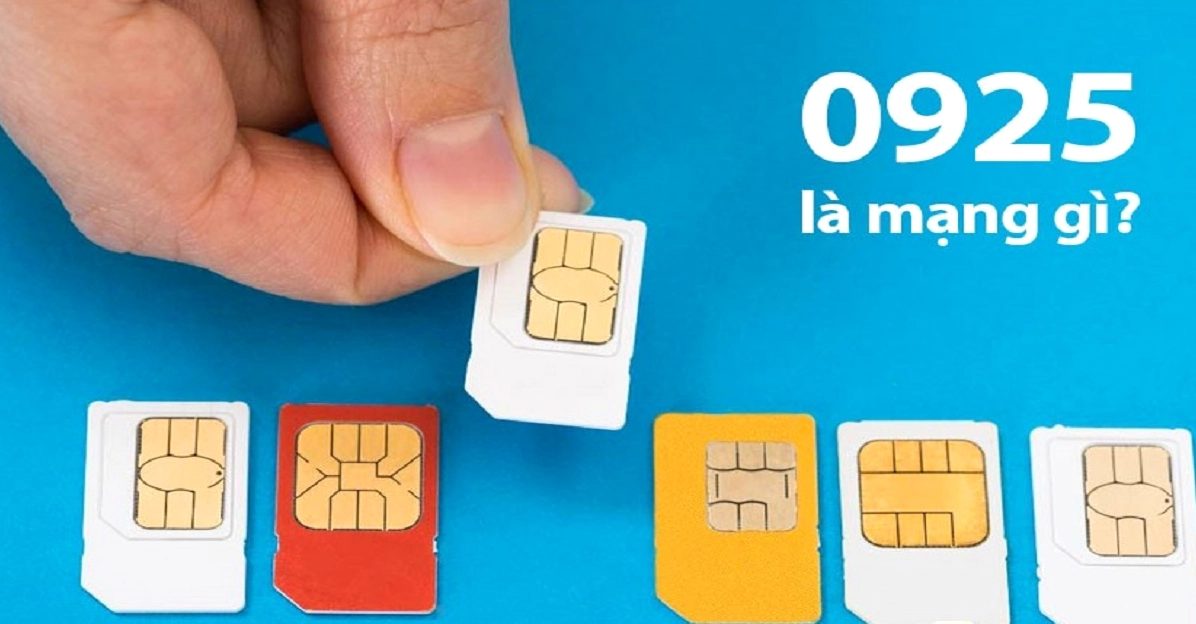 0925 là mạng gì