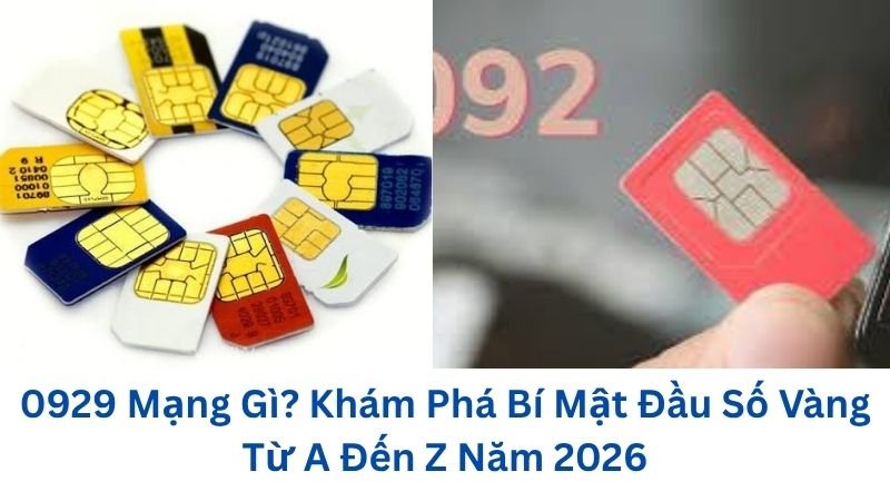 0929-mang-gi