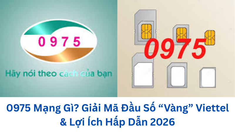 0975-mang-gi