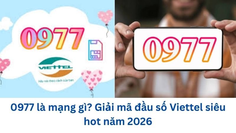 0977-la-mang-gi