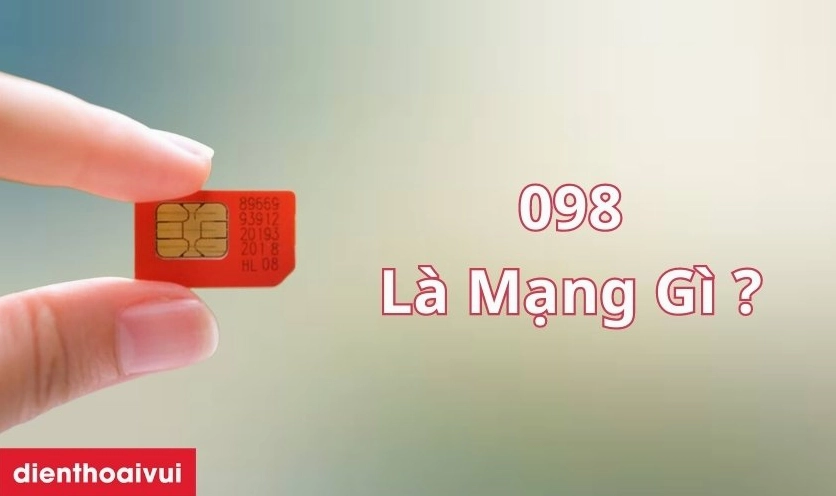 098-mang-gi-kham-pha-suc-hut-va-tien-ich-dinh-cao-cua-dau-so_518