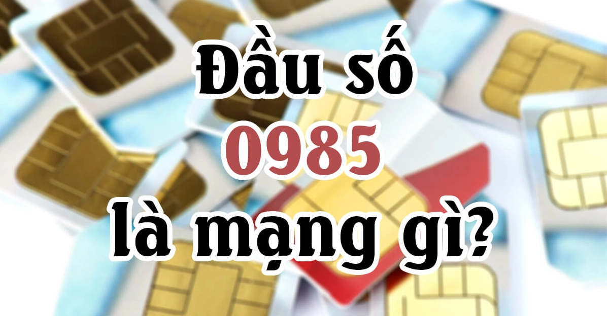 0985 là mạng gì