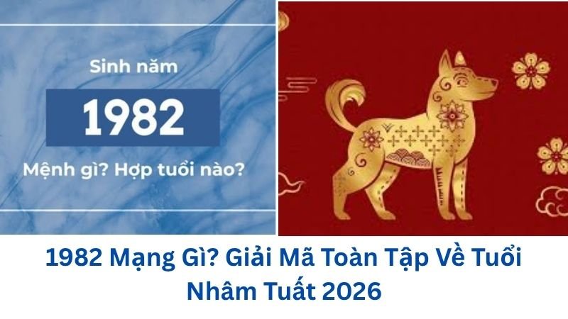 1982-mang-gi