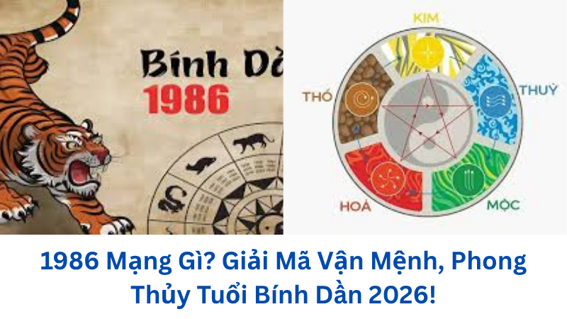 1986-mang-gi